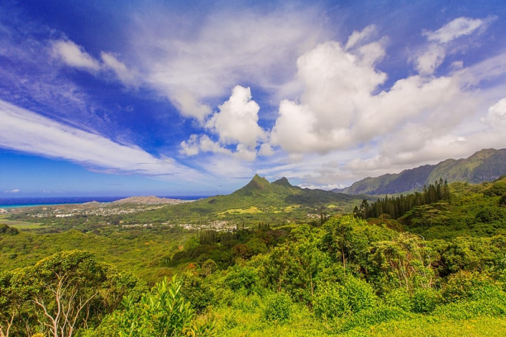 Kailua 13