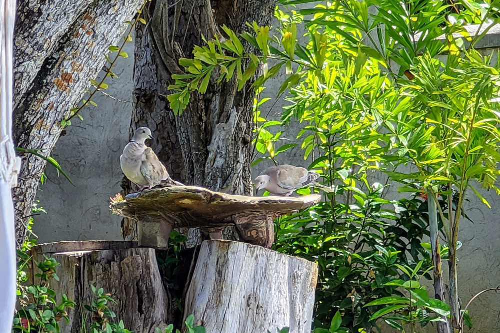 Sea Haven on Discovery Bay