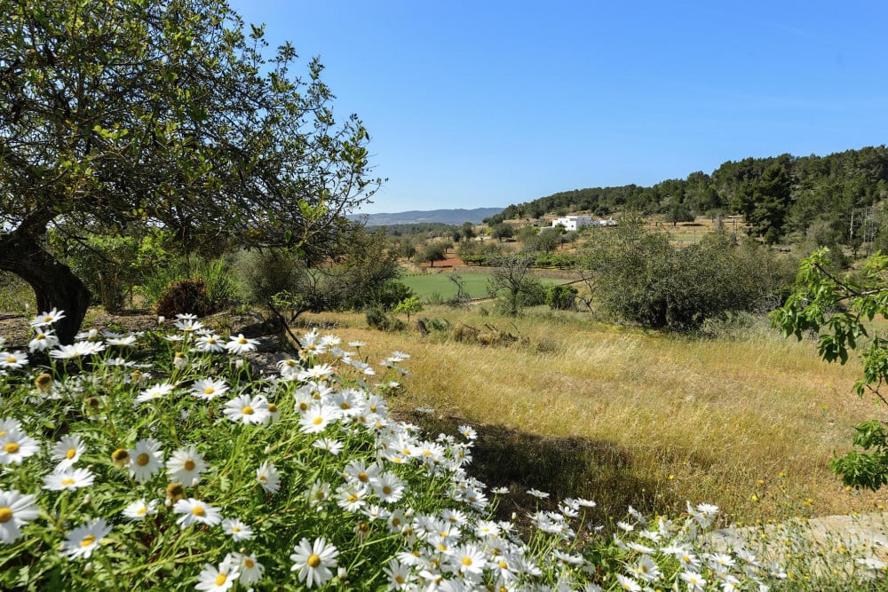 Villa Can Pep D'en Puig