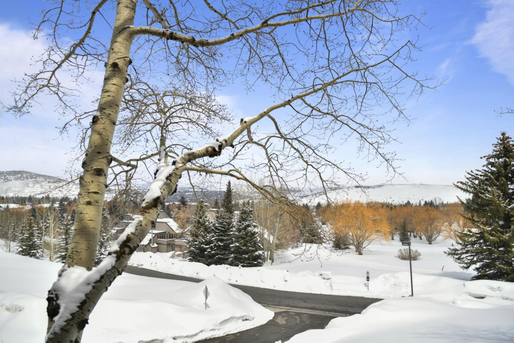 Park City 213