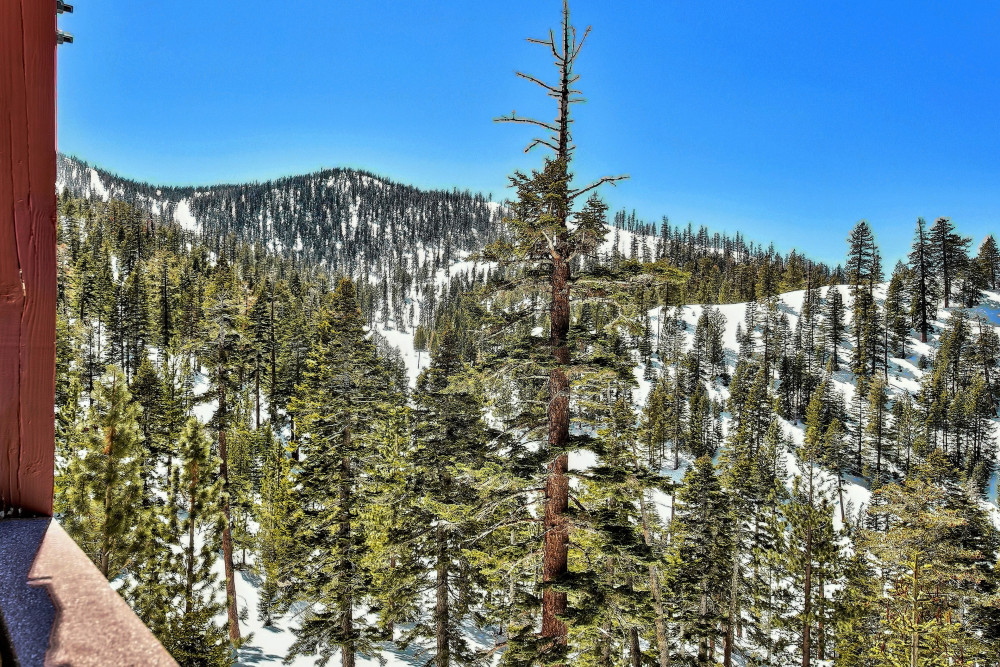 Lake Tahoe 310