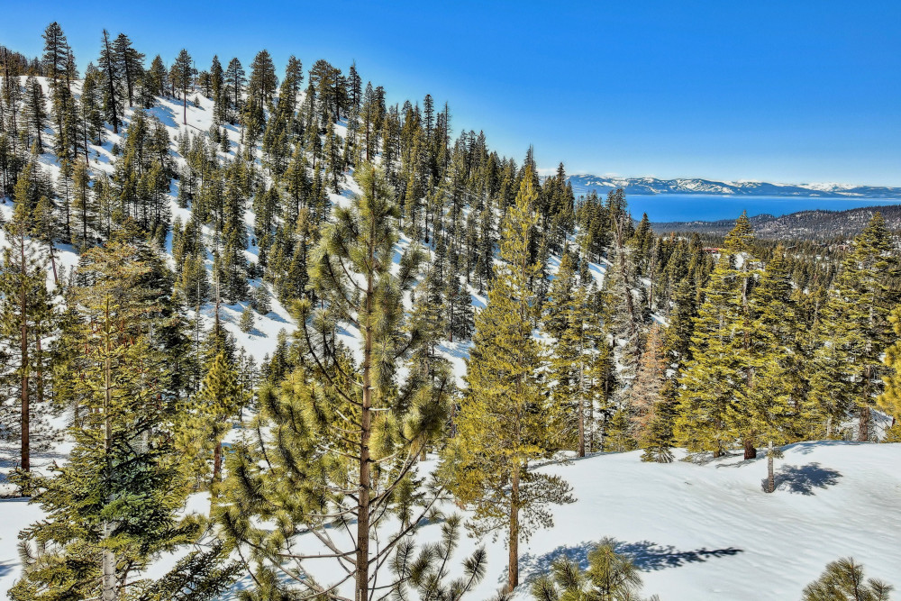 Lake Tahoe 310