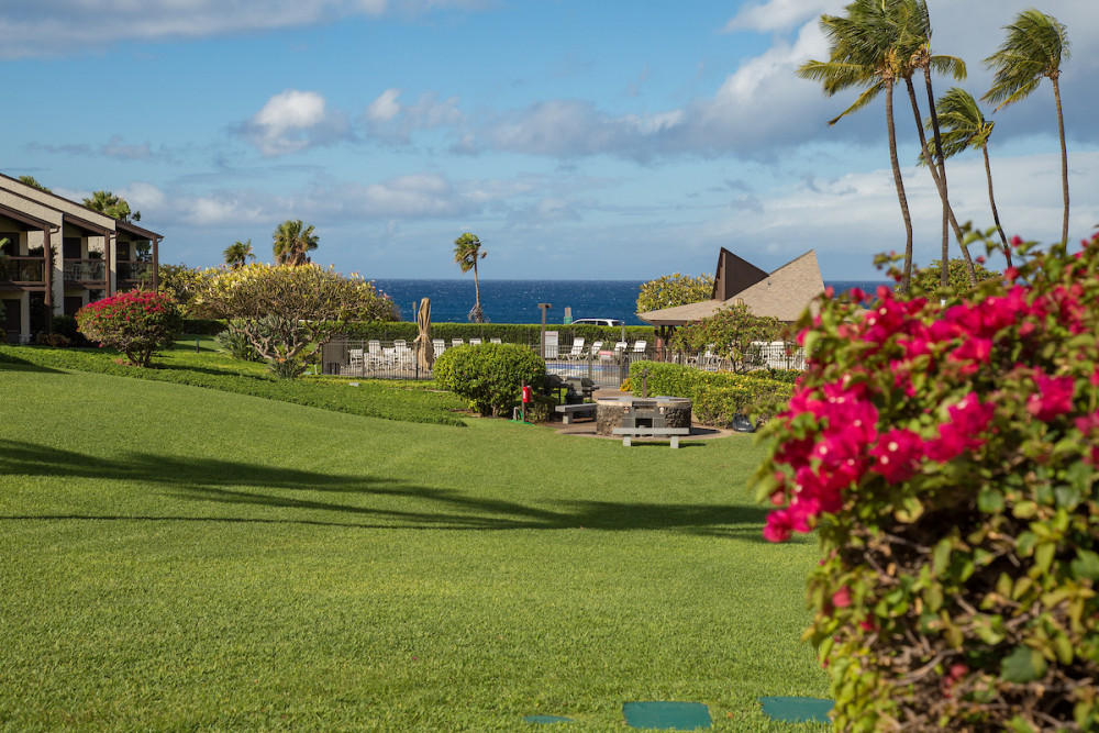 Maui 5