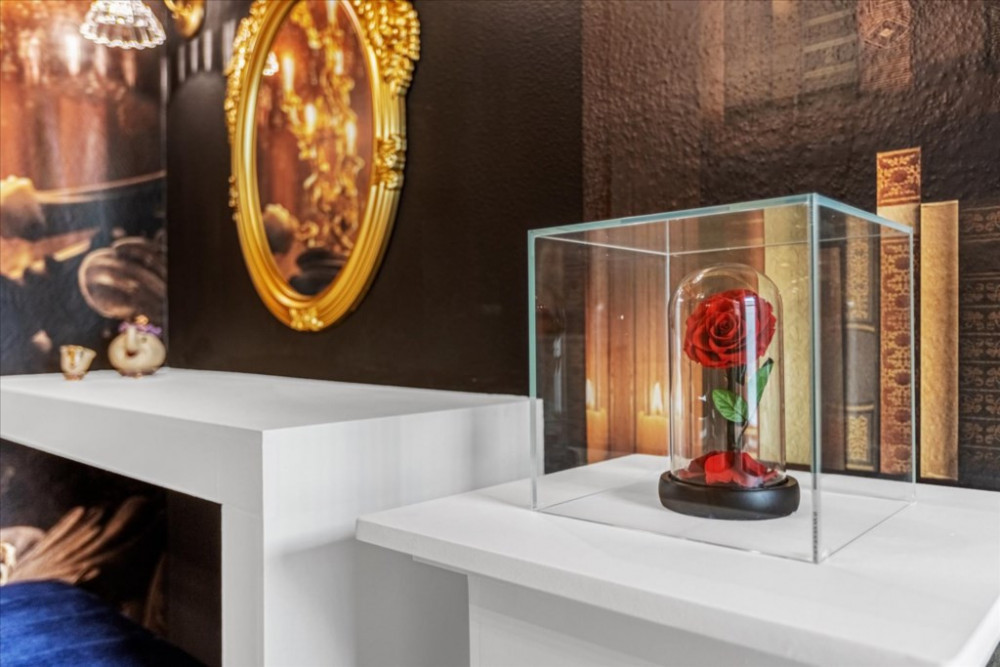 Windsor at Westside 1224