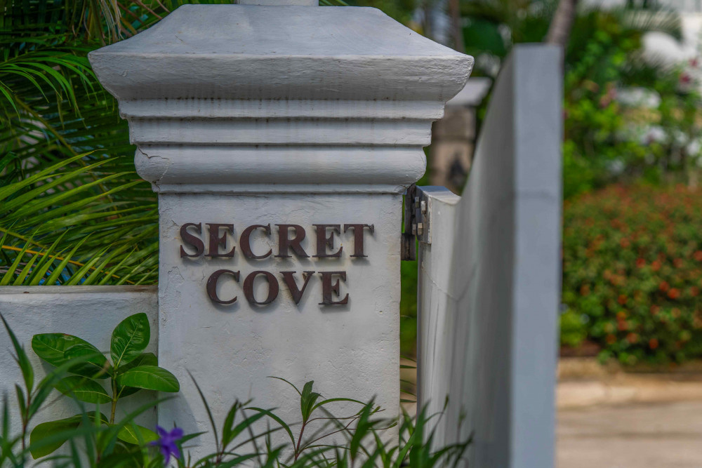 Secret Cove 2