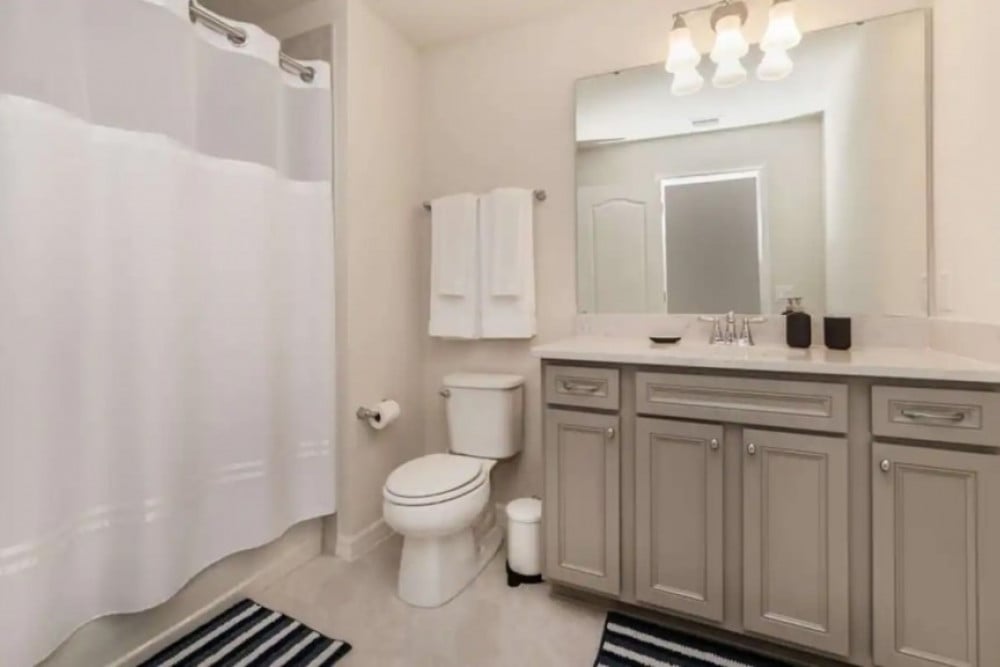 Windsor at Westside 1271