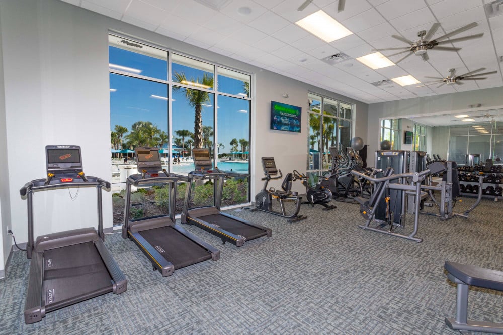 Windsor Island Resort 217