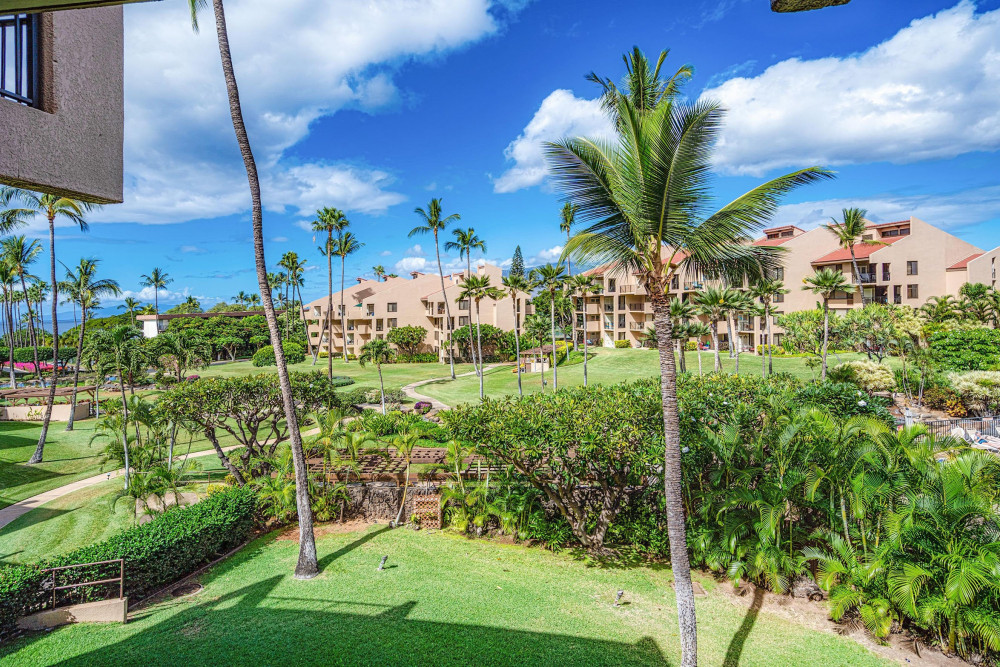 Maui 115