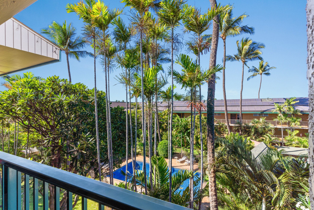 Maui 117