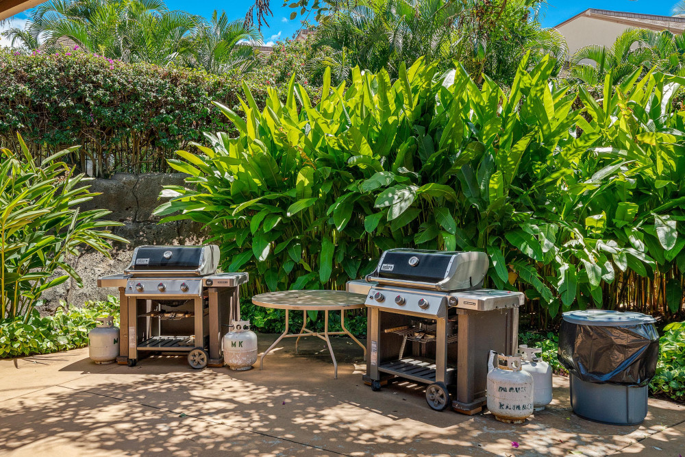 Maui 118