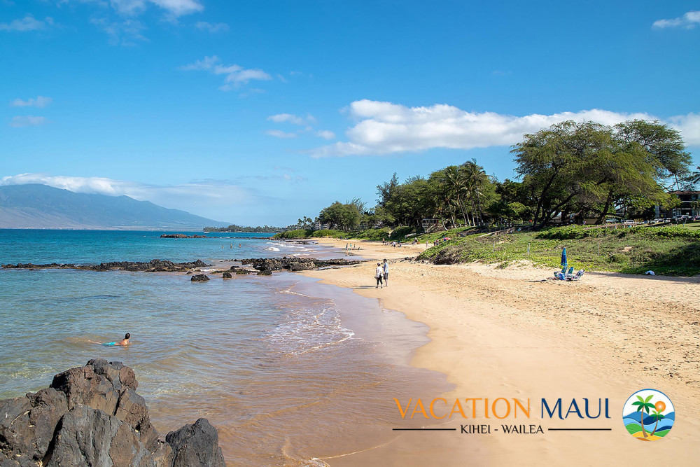Maui 120